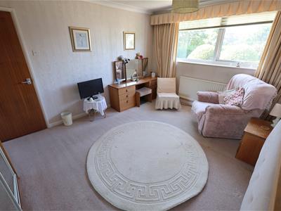 Picture 15